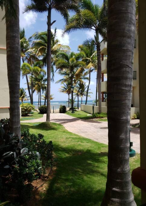 1St Level Unit Steps To Beach- Cold Air Conditioner At Poza Del Mar Luquillo Exterior photo